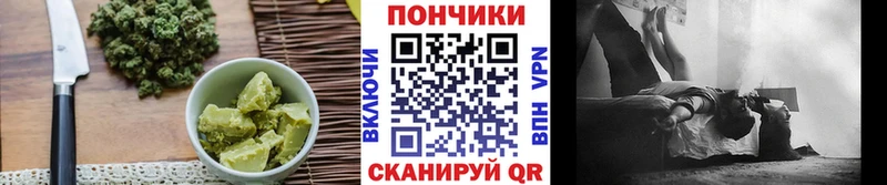 Купить где  Бугуруслан  Canna-Cookies конопля 