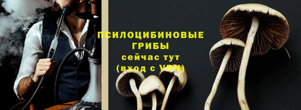 ешки Краснослободск